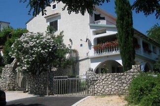 Apartments Andrić - Šilo