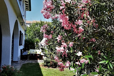 Apartments  Andrić  in Šilo
