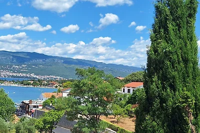 Apartments  Andrić  in Šilo