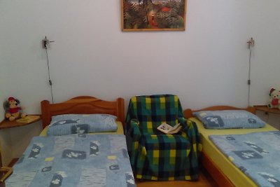 Apartments  Andrić  in Šilo