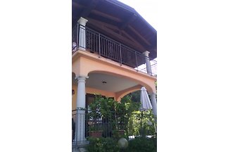 Holiday