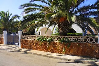 peut Marroig