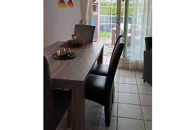 Zeemeeuw Ferienoase strandnah