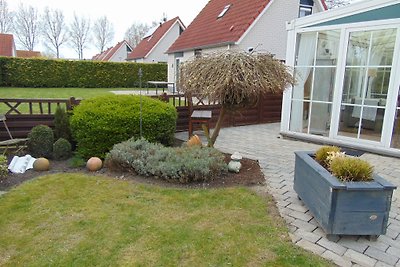 Zeemeeuw Ferienoase strandnah