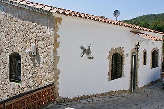 Casa Alguer 24