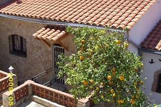 Casa Alguer 22 (untere Wohnung)