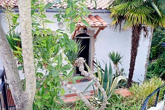 Casa Alguer 20 (camera alta)