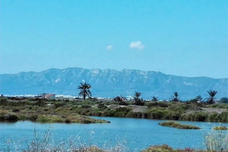 Ebrodelta