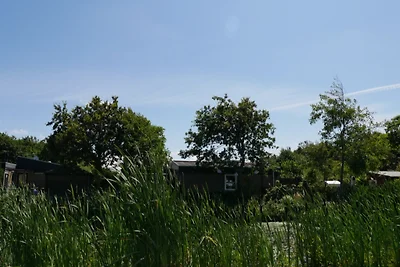 Bungalowpark DE BLENCK Haus 40