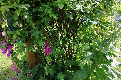 Bungalowpark DE BLENCK Haus 40