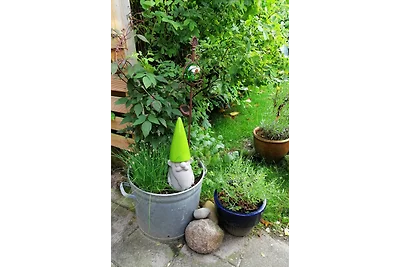 Bungalowpark DE BLENCK Haus 40