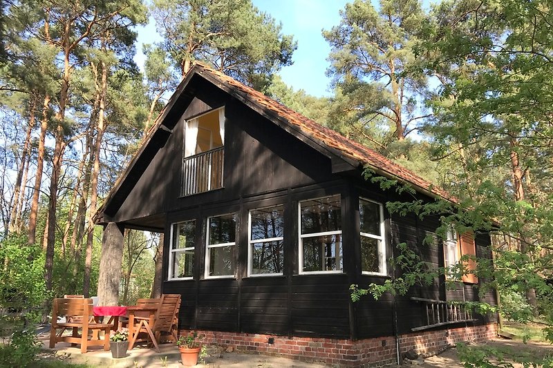 Holzhaus im Kiefernwald
