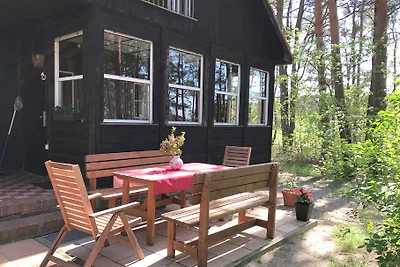 Holzhaus am Schwielochsee