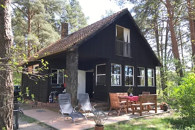 Holzhaus am Schwielochsee