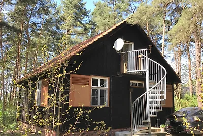 Holzhaus am Schwielochsee
