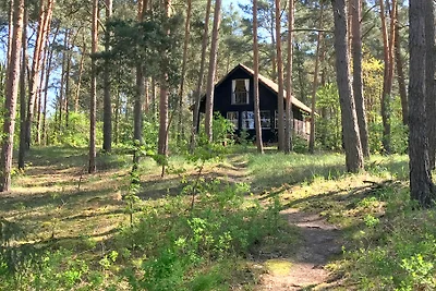 Holzhaus am Schwielochsee