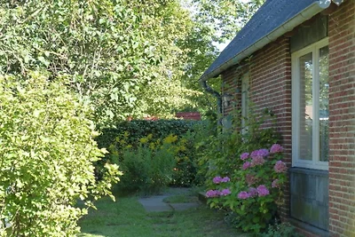 Ferienhaus "Schleipanorama"