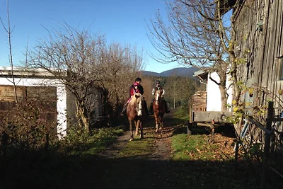 Fattoria dei pony
