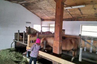 Fattoria dei pony