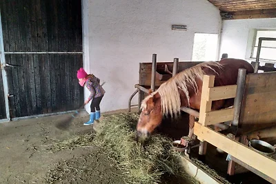 Fattoria dei pony