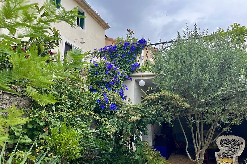 Ein charmantes Haus mit blühenden Pflanzen.