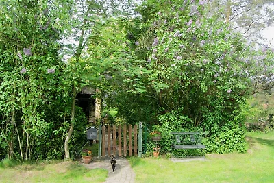 Casa vacanze nella foresta ai margini dello Spreewald