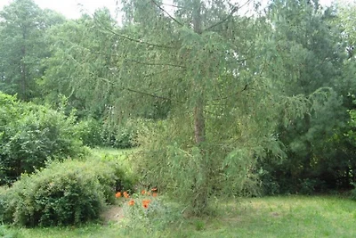 Casa vacanze nella foresta ai margini dello Spreewald