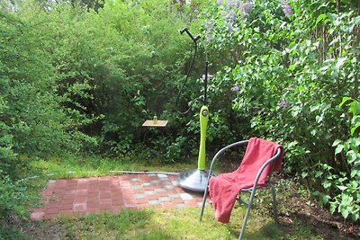 Vakantiehuis in het bos aan de rand van het Spreewald