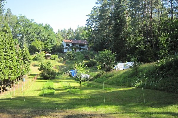 Ferienhaus Erlenbach