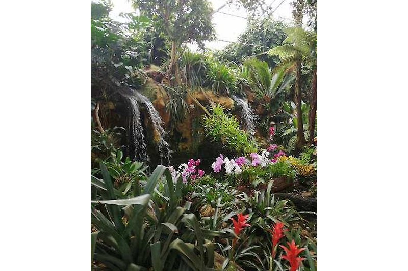 der Orchideenpark