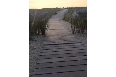 De Zeearend Petten aan Zee
