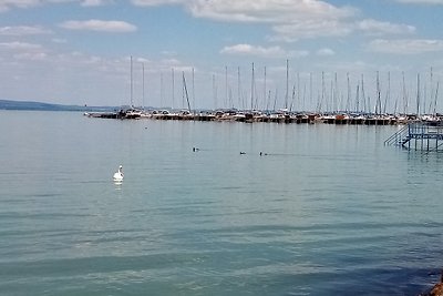 Vakantiehuis Ontspannende vakantie Balatonlelle