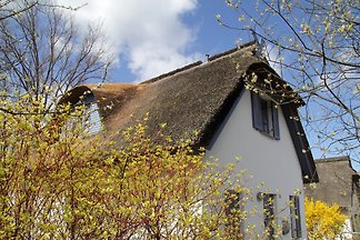 Ferienhaus Am Schwarzen Busch