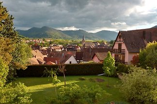Les Cyprès im Mittelelsass