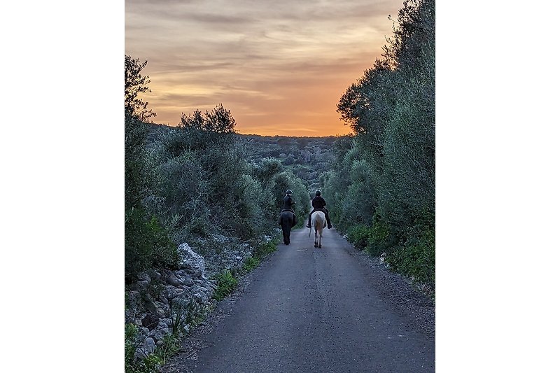Sei es reiten, joggen, Fahrrad fahren, eine Runde mit Hund laufen - aus dem Tor der Finca heraus und schon geht es los.