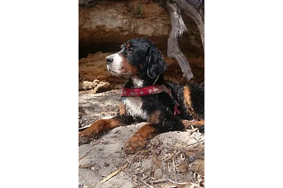 Ankommen. Innehalten. Genießen.