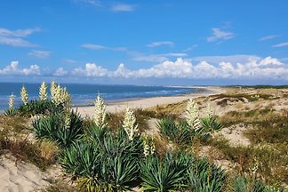 Soulac s. mer-Chez belle pin vert-