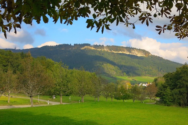 Plettenberg, 1020 m