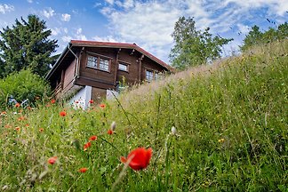 Ferienhaus Fehrenbach