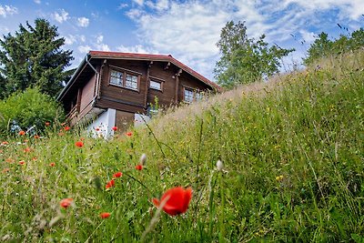 Casa de campo finlandesa en la montaña de verano