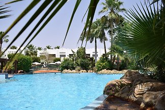Gemütliches Studio in Delta Sharm
