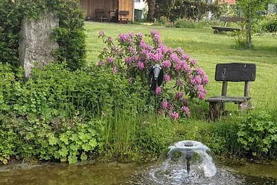 Oasi: sauna con biliardo a 100 m dal centro