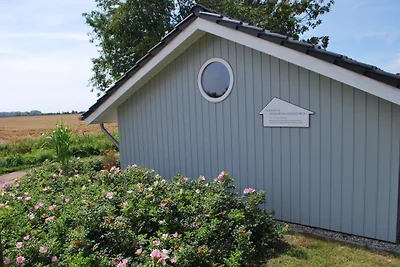 Wohlfühl-Holzhaus Lemkendorf