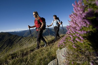 Vakantieappartement Gezinsvakantie Fügen