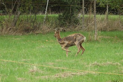 Puur natuur