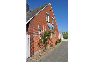 FeWO BALTRUM - Direkt am DEICH