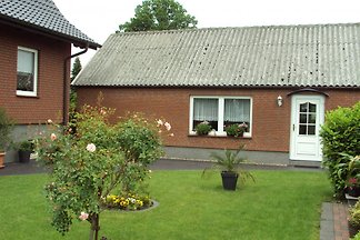 Haus Rosie