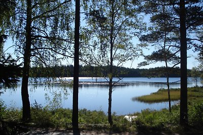 Skeppshult, Sur de Suecia, Småland
