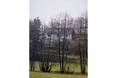 Ferienhaus Eifel. Nimstal.