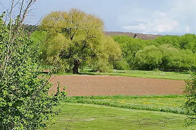 4 Sterne Ferienwohnung Waldblick